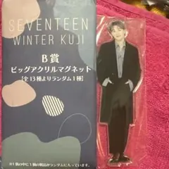 SEVENTEEN WINTER KUJI B賞 アクリルマグネットウジ