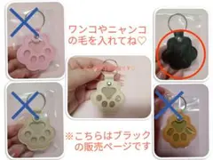 Item thumbnail for item de22ba65-54b5-4f33-9366-56f9937e6213