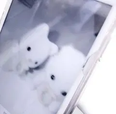 ひびちゃん様専用