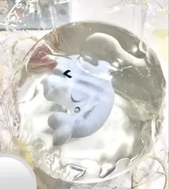 momo 海洋シリーズ　イルカ