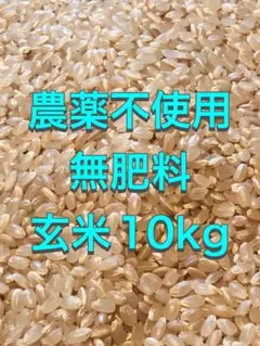 期間限定価格乾燥大豆 2025年産薬品不使用惣菜納豆豆乳加工用 訳あり