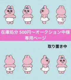 〔在庫処分 500円～オークション中〕様専用ページ