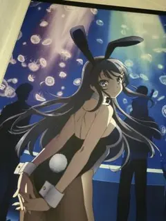 2026年最新】桜島麻衣 タペストリーの人気アイテム - メルカリ