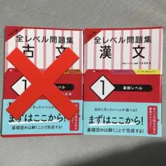 【しゆんち様】大学入試 全レベル問題集 漢文１基礎レベル