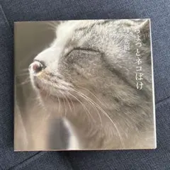 ちょっとネコぼけ