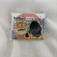 ハイキュー　アクリルminiフィギュア　動物　影山飛雄　カゲガラス