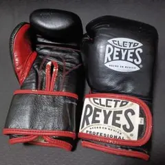 Item thumbnail for item 5c08cbf7-cdcb-4d81-9f16-f216fdb39da0