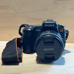 カメラ：SONY α350 レンズ ：MINOLTA AF24-85のサムネイル