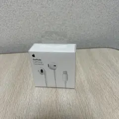 EarPods Lightning Connector