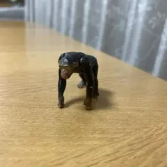 Item thumbnail for item 2c9dca34-5dee-40b8-952a-c7fd6c505b73