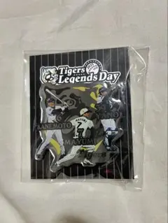 Item thumbnail for item f51251a1-ebf3-4536-80f8-0464971a8efc