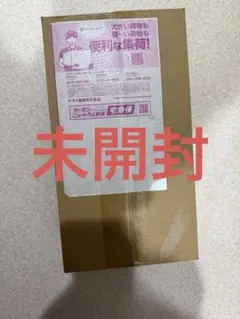 未開封　ポケモンセンターヒロシマ、スペシャルBOX