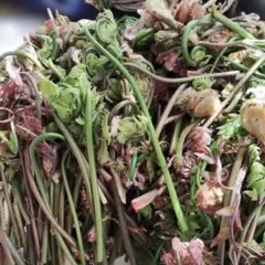 みっちゃん☆様専用