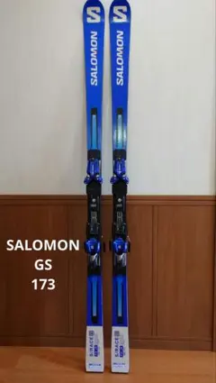 2026年最新】スキー gs 173の人気アイテム - メルカリ
