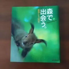 森で出会う。動物たちの四季　写真集　JAF MATE社　レア