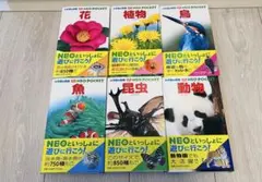 Item thumbnail for item 8e0e031c-8b15-446d-9466-d9555ffe59b2