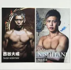 Item thumbnail for item 601ca23b-60f8-4995-a32f-1d09a14114e5