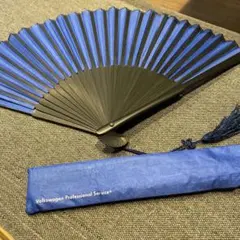 Item thumbnail for item 004ef0ab-06ea-40e3-bbd9-802c5069809f