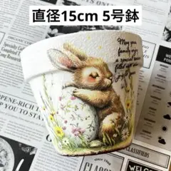 No.122 リメイク鉢 5号鉢 リメ鉢 多肉植物