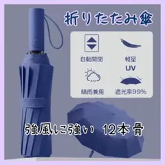 日傘 強風に強い 折りたたみ傘 大きめ ネイビー 紺