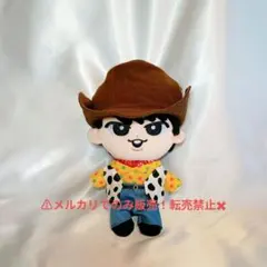 すのチルBIGぬい服