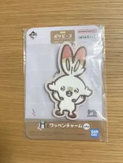 ポケモン ワッペンチャーム