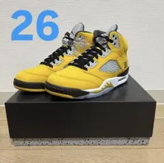 26cm Nike Air Jordan 5 Retro 