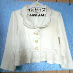 anyFAM120サイズホーマル