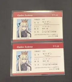 ⑫⑮ FGO TYPE-MOON A.B-T.C カード 水妃モルガン モルガン - メルカリ