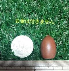 Item thumbnail for item b468d0ca-cd7b-4df5-ac3d-f5a6c401d01c