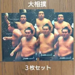 【未使用】大相撲　白鵬・日馬富士・鶴竜・稀勢の里・照ノ富士・豪栄道・琴奨菊