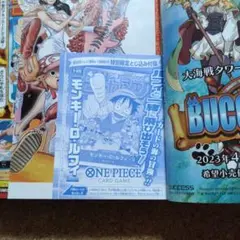 週刊少年ジャンプ ワンピース プロモカード ルフィ ワンピースカードゲーム