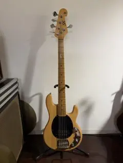 2026年最新】スティングレイ sxの人気アイテム - メルカリ