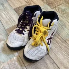 Item thumbnail for item 1e6a402a-f5e3-43e7-af65-7686d83c71a1