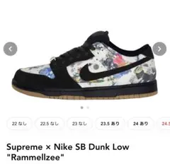 Supreme Nike SB Dunk Low Rammellzee