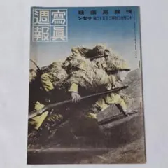 Item thumbnail for item 5b5a9cc6-8eb5-457e-a8d5-9c6476ea6064