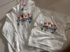 新品未使用！東京ディズニーリゾート パーカー 120・90サイズセット