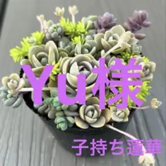 Yu様 リクエスト 2点 まとめ商品