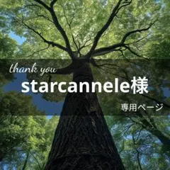 starcannele様(8月16日までお取置き可能)