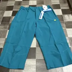 Item thumbnail for item f65d3ccf-a8b3-491a-a0c3-05f95e338f22