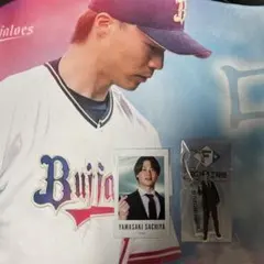 Item thumbnail for item 070e1b8f-f3db-4532-8922-ffcbae7e3d8e