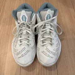 ASICS アシックス GELHOOP V16 バッシュ26cmのサムネイル