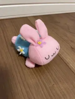 ウサギ　シナダカンパニー