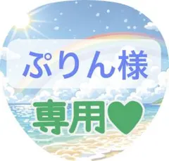 ぷりん様専用ページ