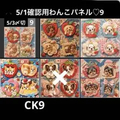 確認用5/1 わんこパネル♡ハンドメイド