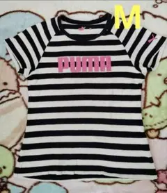 ★送料込★M PUMA バックプリントあり 半袖 ボーダー Tシャツ