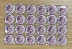 プロセカ グリッター缶バッジ vol.50A 東雲絵名