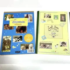 Item thumbnail for item 521f1c95-e0c1-4086-87f7-06f3b12447c8