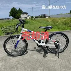 幼児用自転車リーズポート白16インチ 直接引き取り限定REEDSPORT 広島