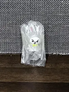 SKZOO めじるしアクセサリー